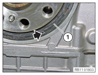 G15329884