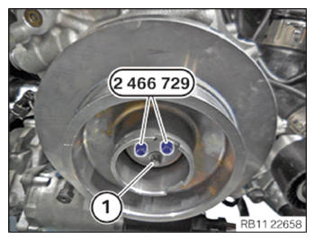 G15330091