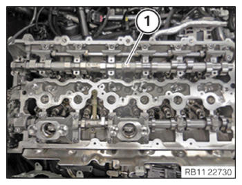 G15330246