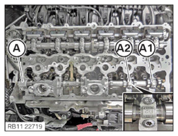 G15330266