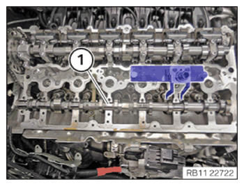 G15330269