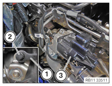 G15331386