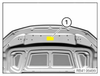 G15333868