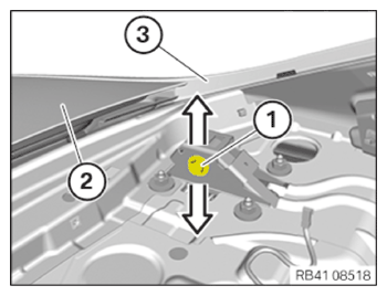 G15333929