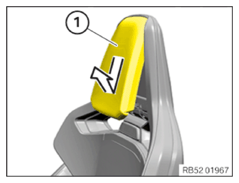 G15339481