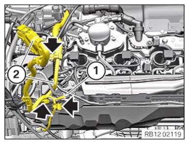G15342584