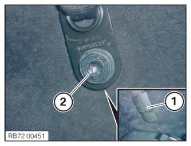 G15344476