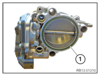 G15354883