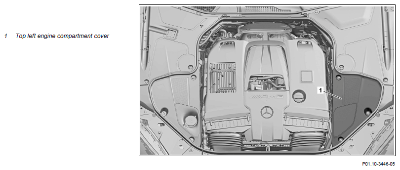 G15362348