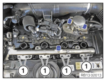 G15369376