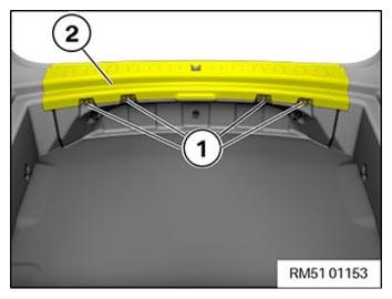 G15373393