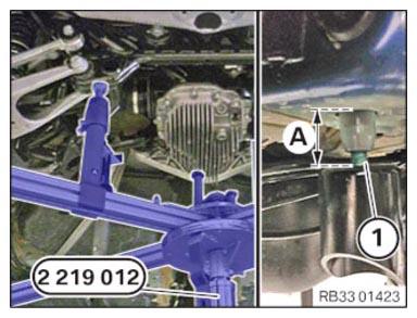 G15384255