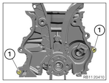 G15385571