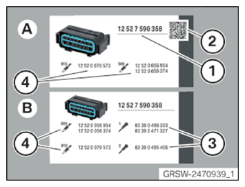 G15388794