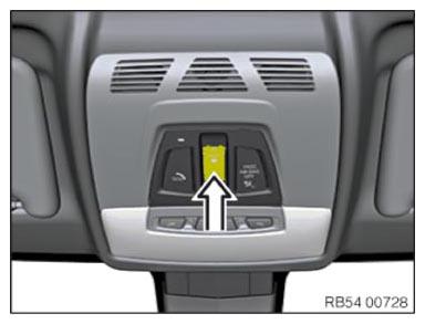 G15388852