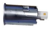 G15389520