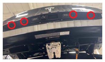 G15393644