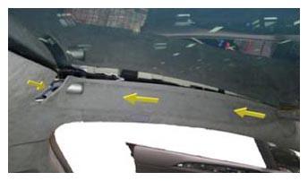 G15393896