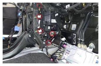 G15394523