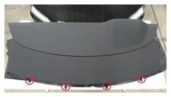 G15394549