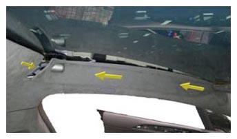 G15396035