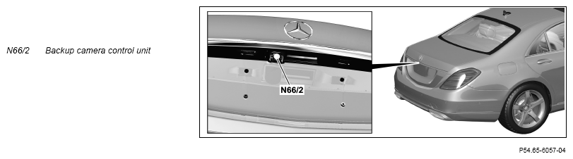 G15400667
