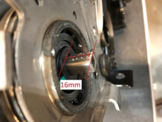 G15401632
