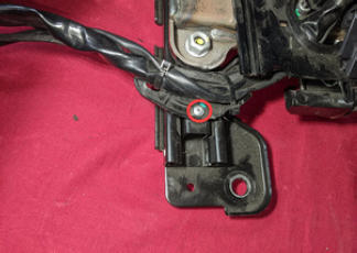 G15402684
