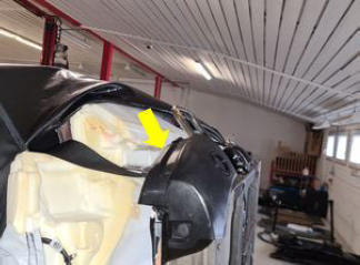 G15404196