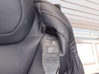 G15404197