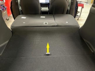 G15404239