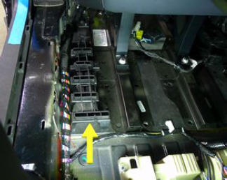 G15404276