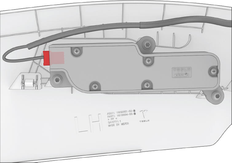 G15404561