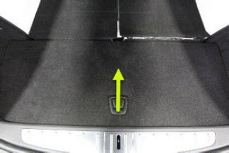 G15404579