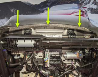 G15404917
