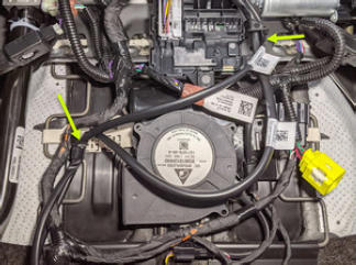 G15404986