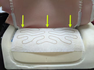 G15405389