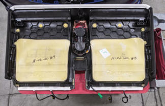 G15405391