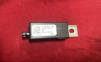 G15409135
