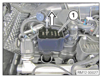 G15428758