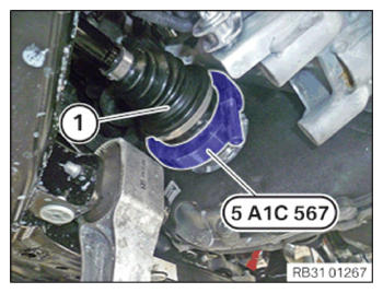 G15431426
