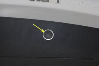 G15438243