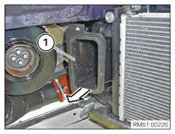 G15443655