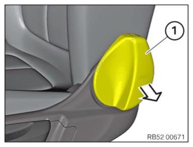 G15455505