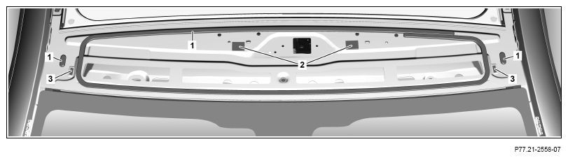 G15467794