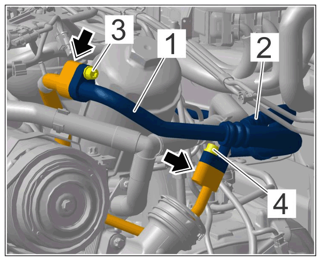 G15485239