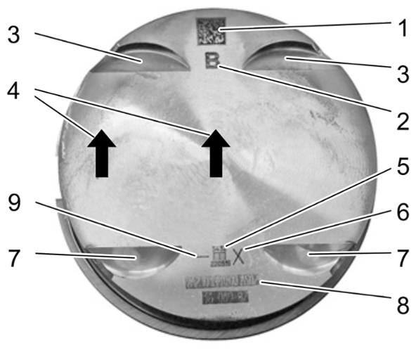 G15485510