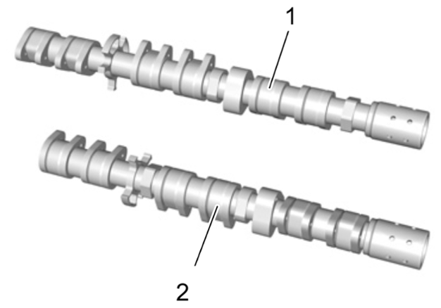 G15486581