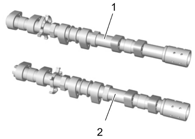 G15486582