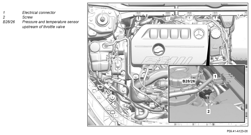G15491364